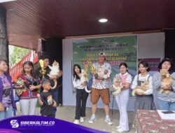 Kontes Kucing di PEDA XI 2025, Ajang Unik Dorong Komunitas Pecinta Kucing Lokal Tumbuh